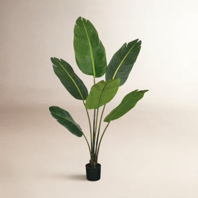 50'' Faux Banana Leaf Plant in Pot