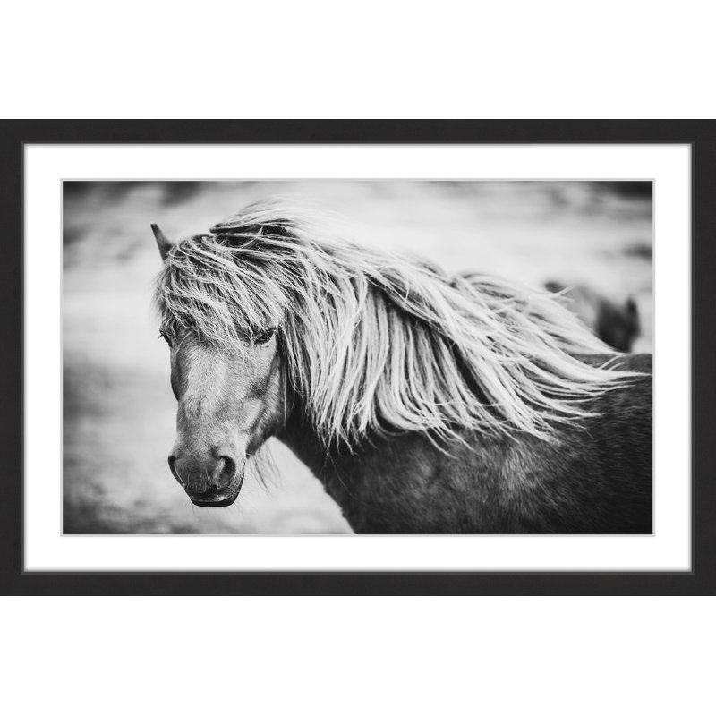 «Beautiful Mane», reproduction de photo sur papier encadrée, H 30 po x l 45 po x P 1,5 po
