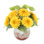 Sunflowers Arranged in Glass Vase