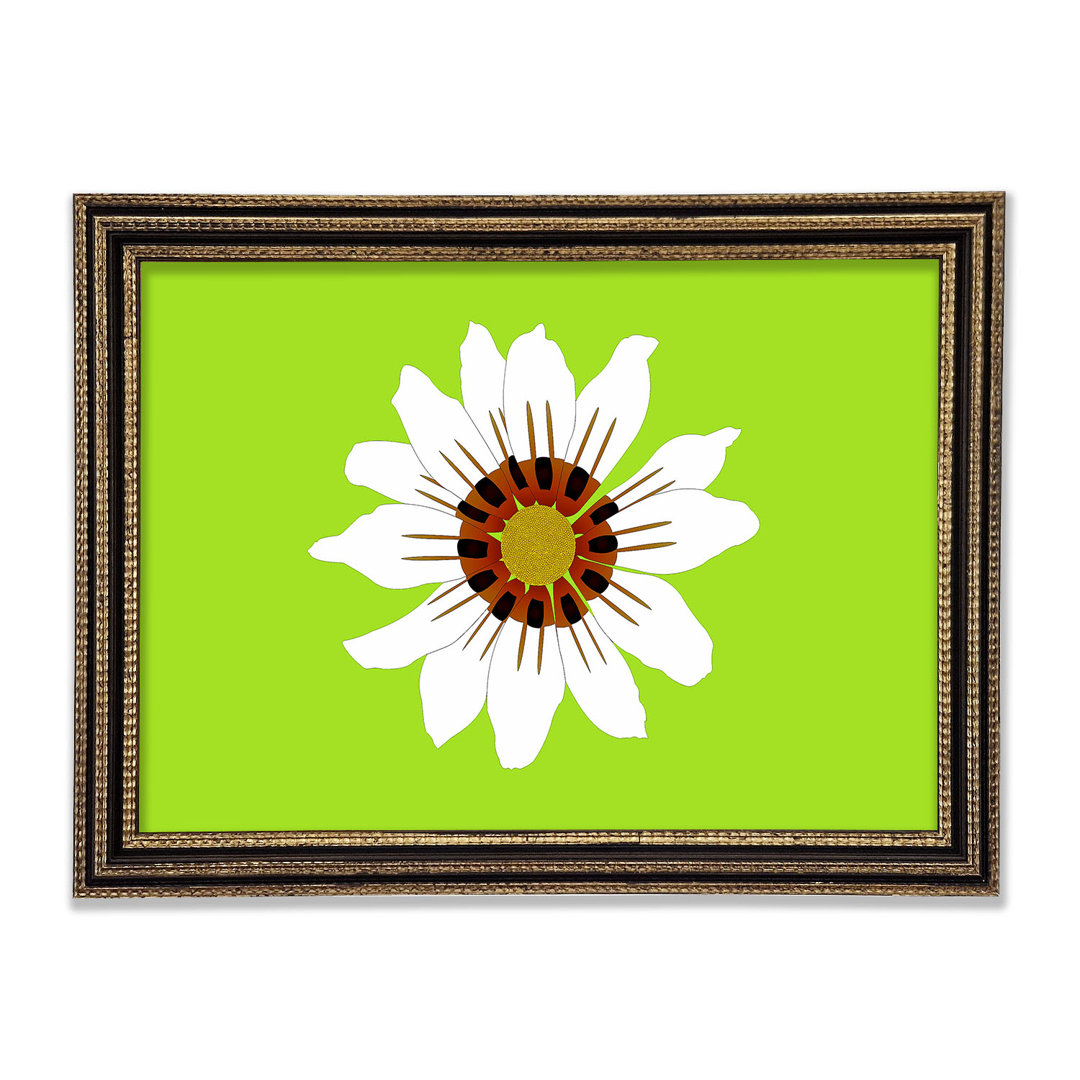 White Daisy Greens Gerahmter Druck