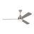 Ceiling Fan with LED Lights-220343687-211481074