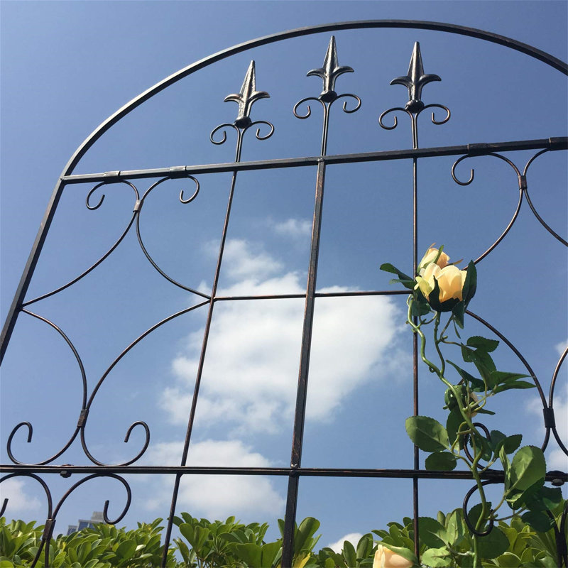 Polson 162.5cm H x 71cm W Metal Arched Trellis