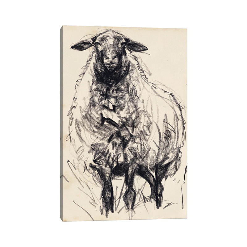 Charcoal Sheep I by Jennifer Paxton Parker - Wrapped Canvas Print, 20.32 cm H x 30.48 cm W