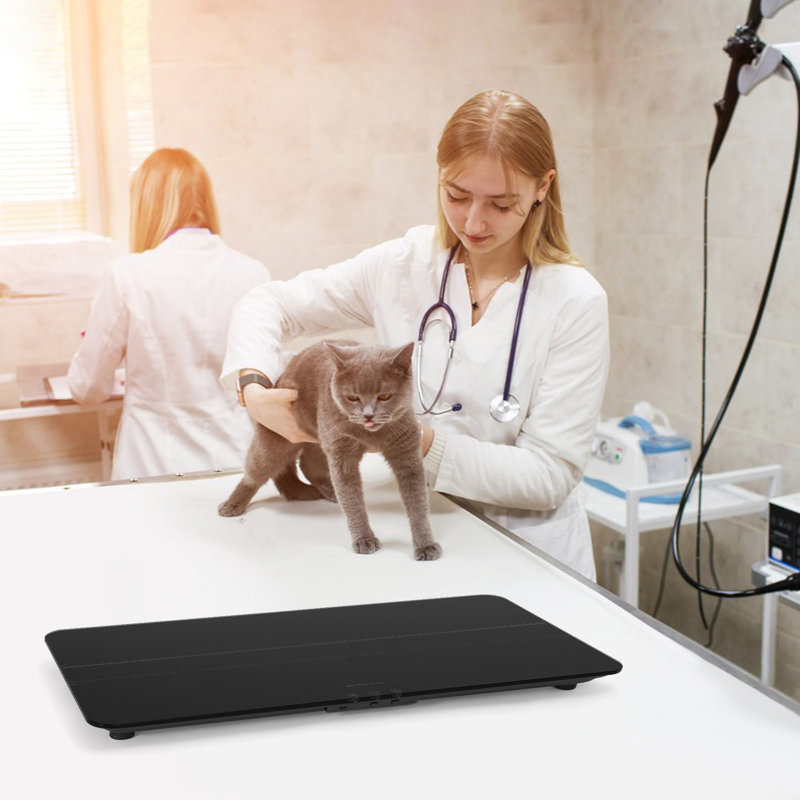 Digital Pet Scale, Black