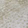 Chayil Area Rug with Non-Slip Backing