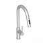 18.83" Pull-Down Kitchen Faucet-124456853