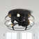 Rakestraw 12.2'' Flush Mount Caged Ceiling Fan with LED Lights and Remote Control