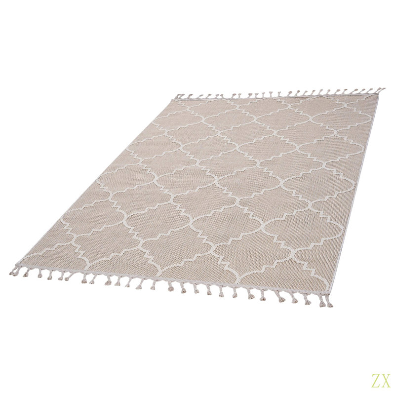 Collection 5X7  /Trellis Indoor/Outdoor Area Rug, Rectangle 5'3" x 7'6"