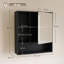 Bathroom Mirror Cabinet, Wall-Mounted, Adjustable Shelves, Black