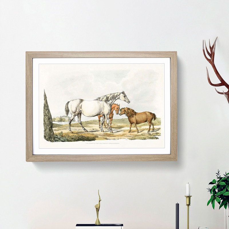 Two Horses & a Pony by Henry Alken - Framed Print, 48cm H x 65cm W x 2cm D, Oak Framed