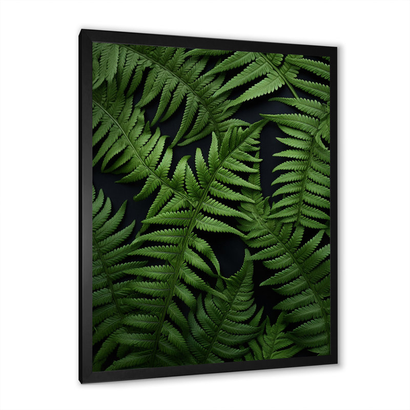 Martez Ferns Plant Delicate Intricacy sur impression sur toile, Cadre photo noir, H 20 po x l 12 po x P 1 po