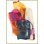 High Spirited II Framed Print Canvas