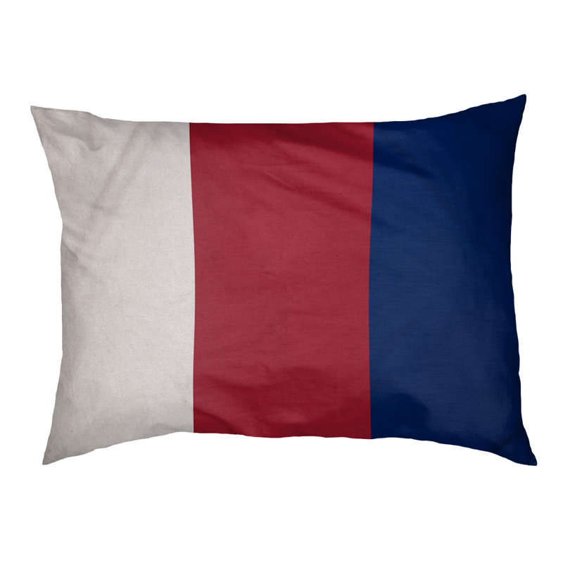 Coussin pour chien hockey Las Vegas, Grand (l 50 po x P 40 po x H 17 po), Blanc / Rouge / Bleu