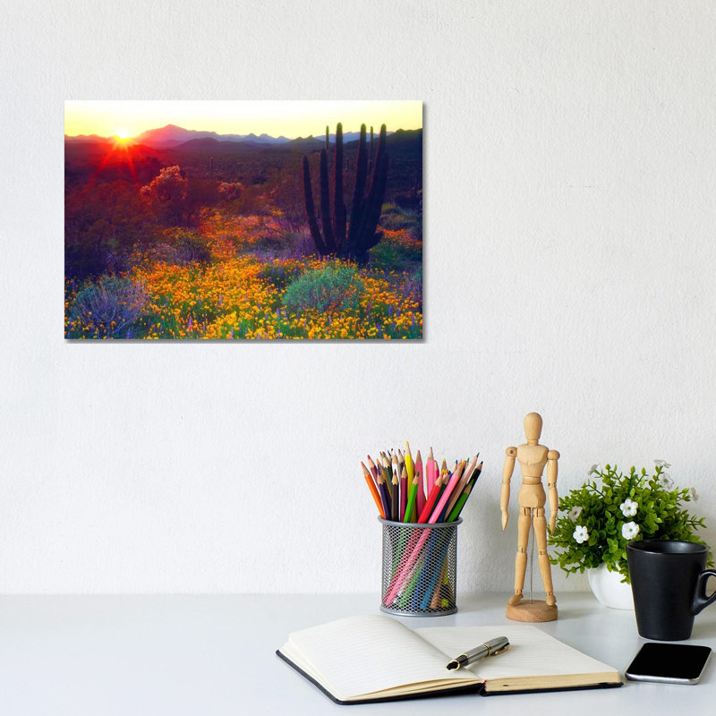 Sunset Over An American Southwest Landscape, Organ Pipe Nati by Christopher Talbot Frank - Print on Canvas, No Framed