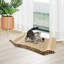 Lit pour chat spécialisé