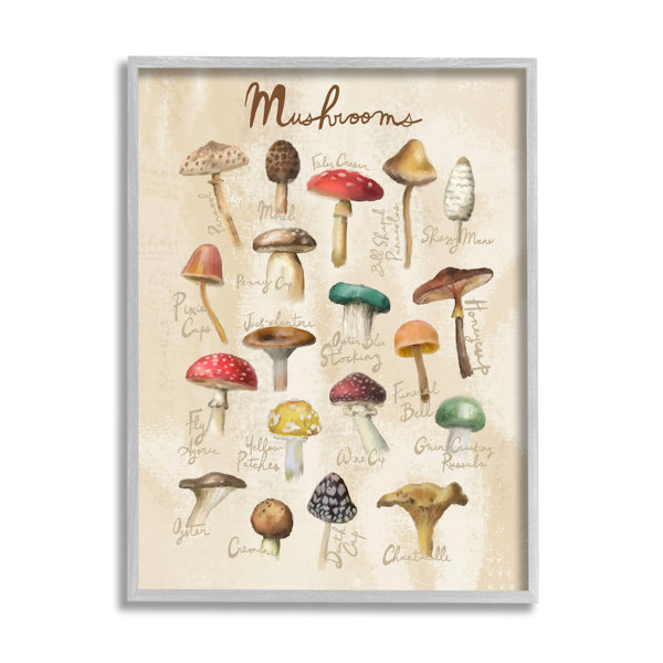 Stupell Industries Vintage Mushroom Types Diagram Framed On Wood by ...