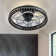 19'' Dimmable Caged Ceiling Fan with LED Lights