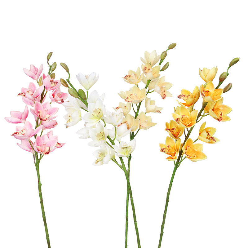Tiges d'orchidées, Ivoire, pêche