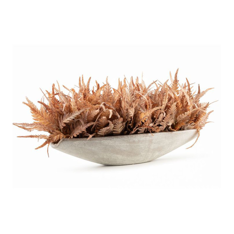 Maple Leaf Callisia, 12" H x 24" W x 7" D