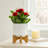 Geometric Round Ceramic Outdoor Planter on Stand for Living Room or Patio Decor - Modern Indoor Flower Pot Display for Home Decor Styling - White-130108201
