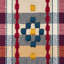 Hutton Check Fabric-1560266288