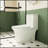 Advanced 1.1/1.6 GPF Elongated Comfort Height Floor Mounted One-Piece Toilet, CUPC Certified, Watersense Cetified, Ceramic, Soft Close Seat-112377970