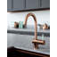 Belfry Kitchen Astoria Kitchen Faucet-1066477693