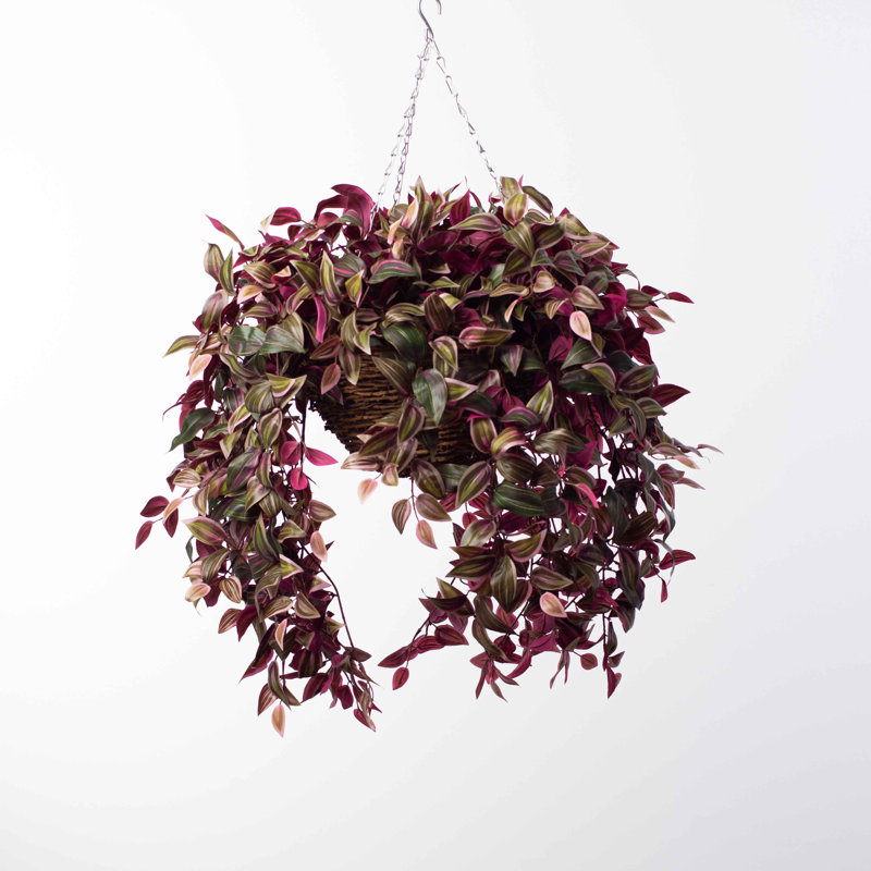 24'' Faux Grapevine Plant in Wicker Basket