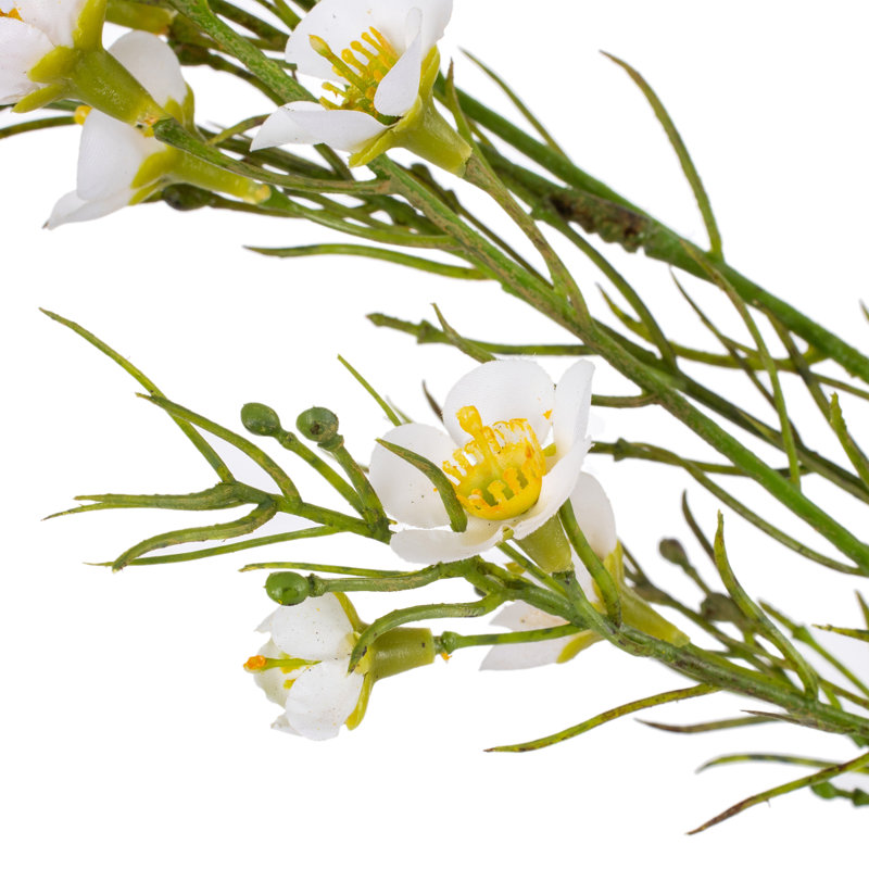 Polyethylene (PE) Baby's Breath Arrangement
