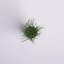 Herbe d'oignon artificielle en pot-1315497337