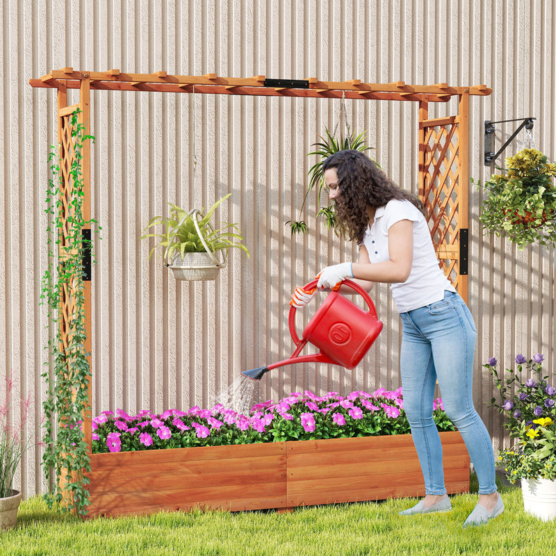 Boîte à fleurs surélevée avec treillis latéral et supérieur pour plantes grimpantes