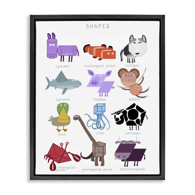 Apprendre les formes 3D avec des animaux, cadre flottant, design par Carla Daly, H 21 po x l 17 po
