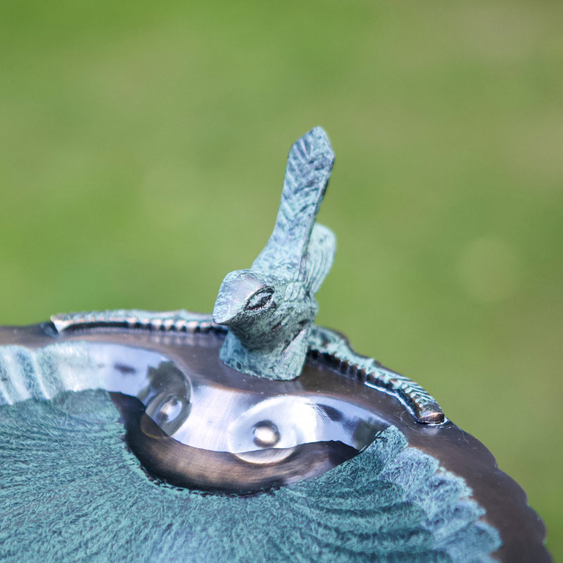 Bain d'oiseaux coquille festonnée avec trépied