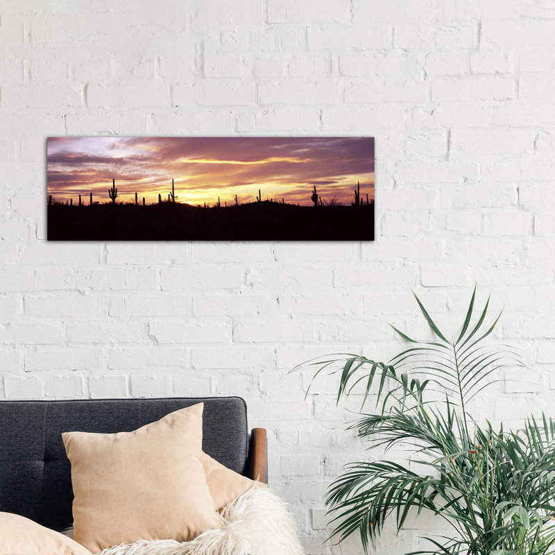 Silhouette of Saguaro Cacti (Carnegiea Gigantea) on a Landscape, Saguaro National Park, Tucson, Pima County, Arizona, USA 1 Piece Panoramic Wall Art on Canvas