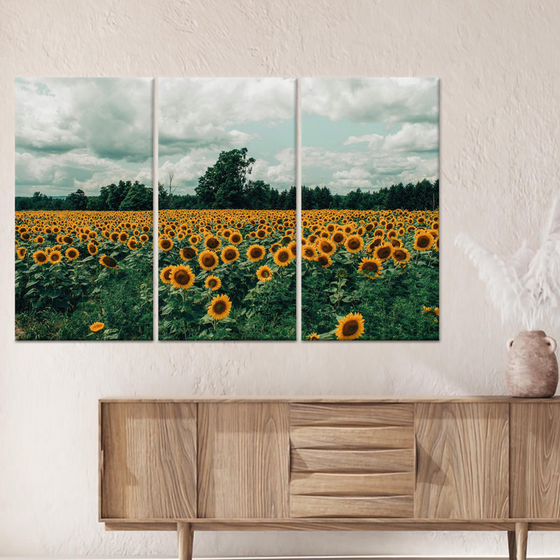 Reproduction d'art sur toile imprimée: Vue de paysage de champ de tournesols, toile tendue 3P, H: 35,4 po x l: 70,9 po