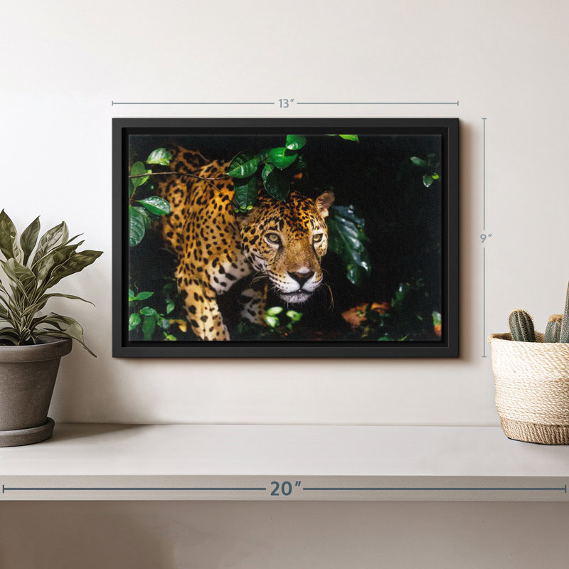 Animal «Rainforest Jaguar Wall Art», H 9 po x l 13 po