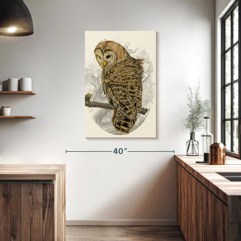 Brampt Barred Owl II, 39" H x 26" W