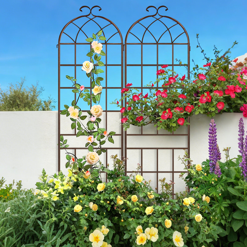 Treillis de jardin, matériau métallique durable pour supporter les plantes grimpantes, utilisation à l'extérieur, Brun