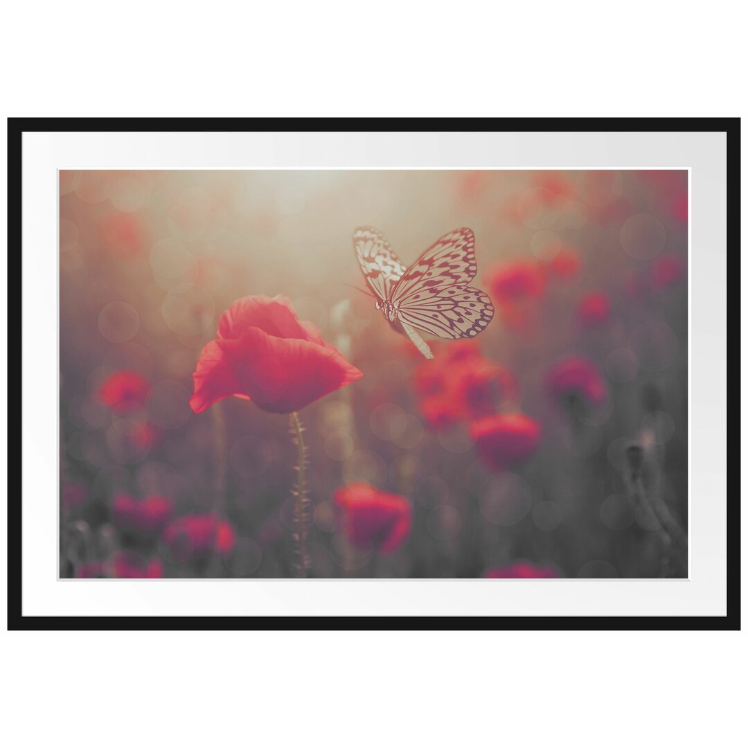 Gerahmtes Poster Mohn und Schmetterling