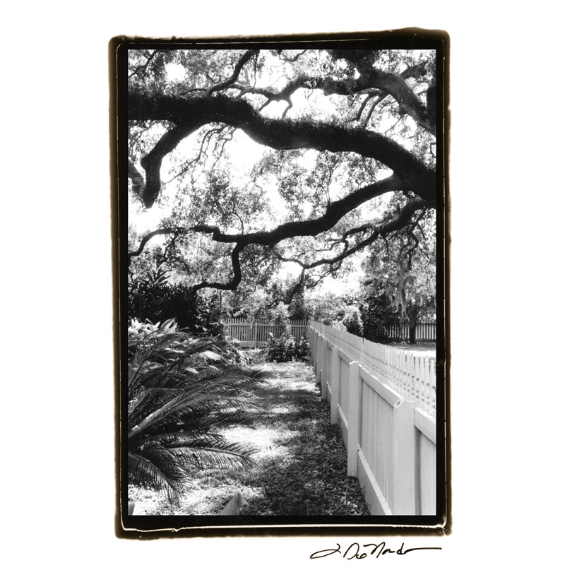 Summer Shade I - Wrapped Canvas Print, 46cm H x 30cm W x 3.8cm D