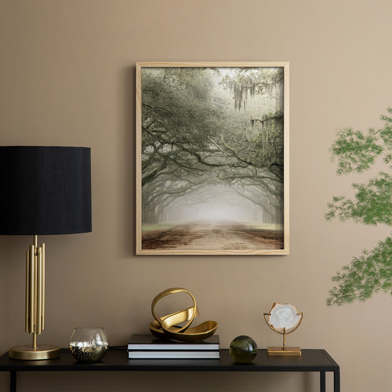 Plantation Drive Framed Print - Solid Wood, 30" H x 24" W