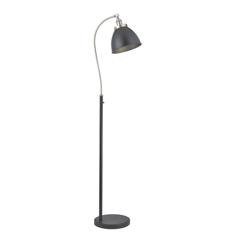 Ziemer 160cm Matte Arched Floor Lamp, Black, Aged Pewter