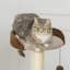 104cm H Cat Tree