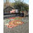 Outdoor Iris Area Rug Dotte Color