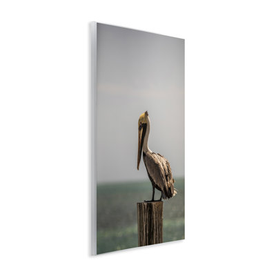 «Nautical Landscape Pelican Wall Art» par Aaron Matheson