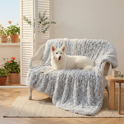 Grande couverture pour animaux de compagnie résistante à l'eau, lavable à la machine et à l'épreuve des liquides, housse de lit, confort et protection, longue fausse fourrure moelleuse apaisante, housse de canapé et jeté pour chat, gris brume, 50 po x 60 po