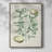 Buchoz Tropicals III Framed Print - Solid Wood-660148200