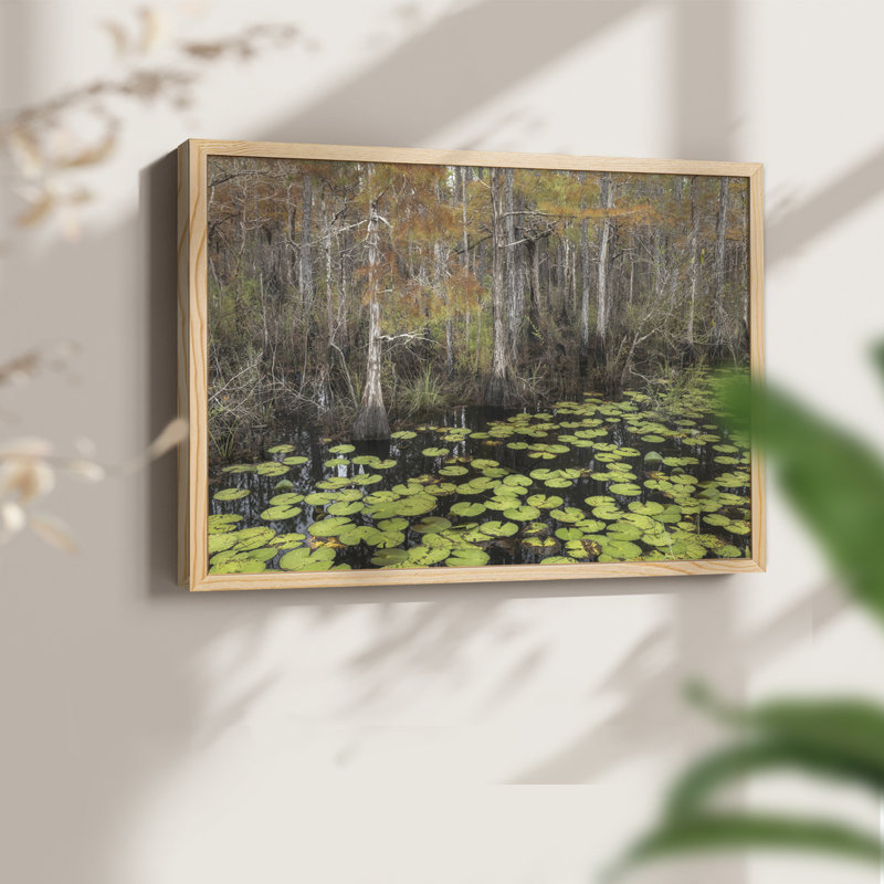 Bayou - reproduction encadrée d'automne, H 8 po x l 10 po, Naturel