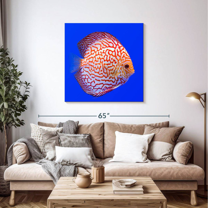 Brampt Exotic Discus Fish, 39'' H x 39'' W