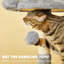 Habitation pour chat 55 po Bineta-1167393290